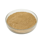Bột chiết xuất Maca