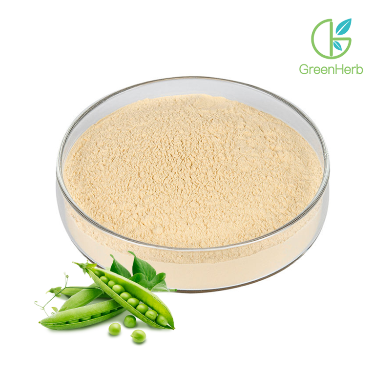 Bột protein đậu Hà Lan 85%