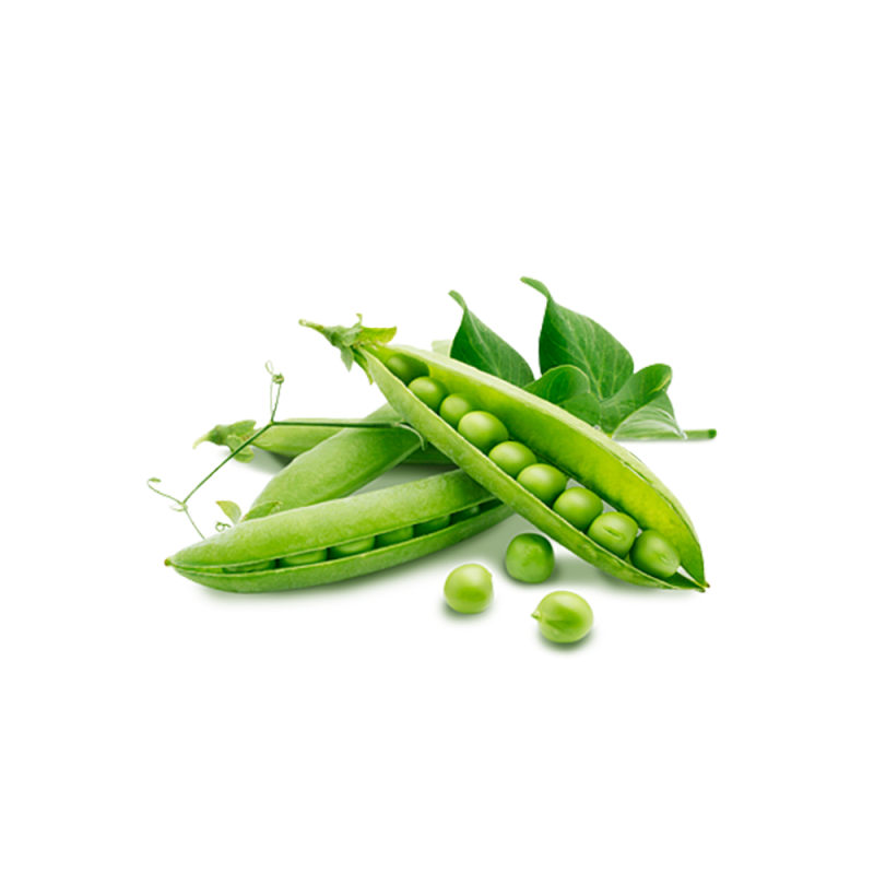 Bột protein đậu Hà Lan 85%