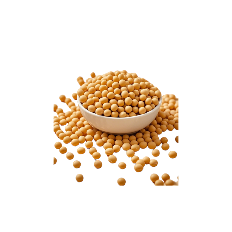 Bột protein đậu nành nguyên chất