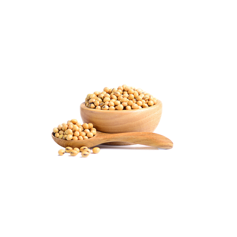 Bột protein đậu nành tinh khiết