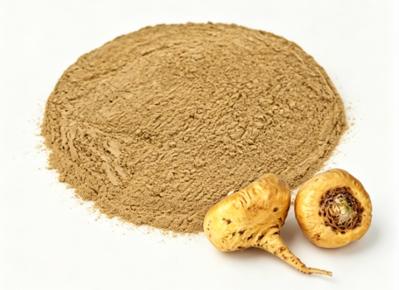 Bột chiết xuất Maca