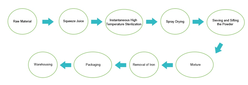 Low-temperature dehydration process flowchart for turmeric root powder production