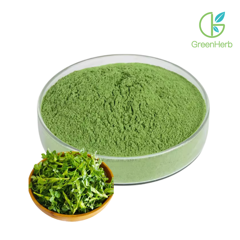 Hình ảnh cận cảnh nguyên liệu bột cỏ alfalfa