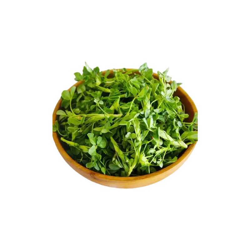 Ảnh macro về cỏ Medicago sativa trên cánh đồng canh tác hữu cơ