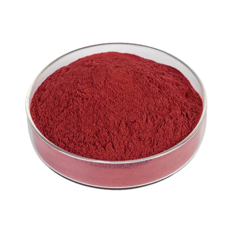 Ảnh chụp môi trường nuôi cấy tảo vi sinh Haematococcus pluvialis