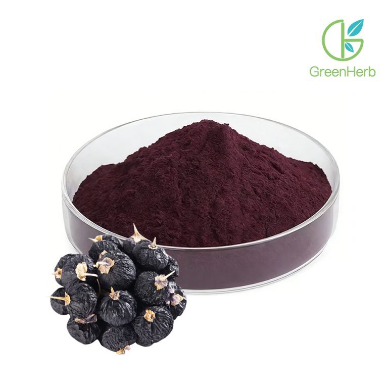 Chi tiết kết cấu cận cảnh của bột quả Goji đen