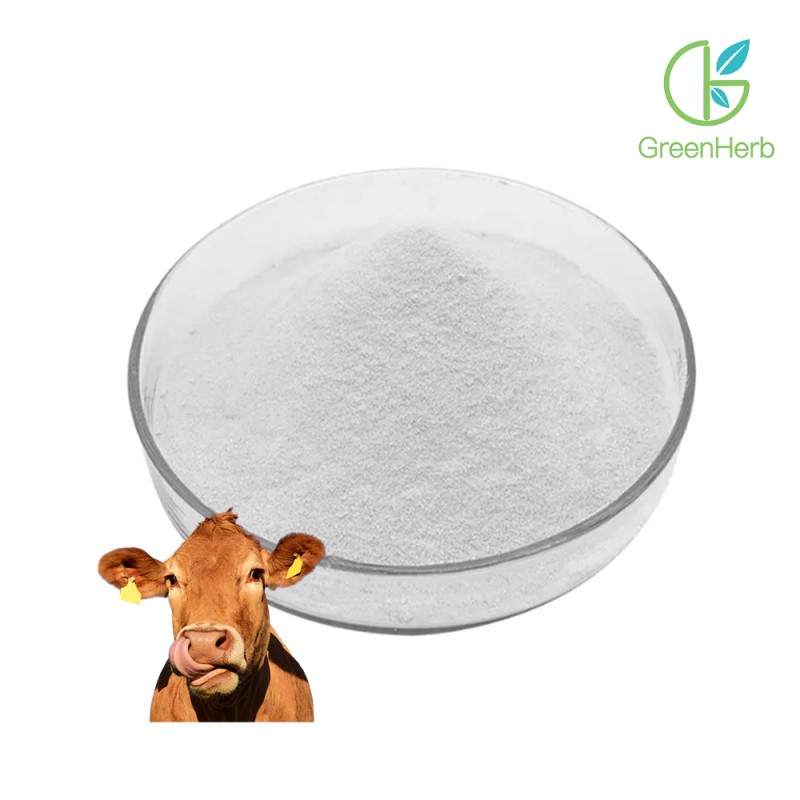 Hình ảnh cận cảnh nguyên liệu bột collagen bò