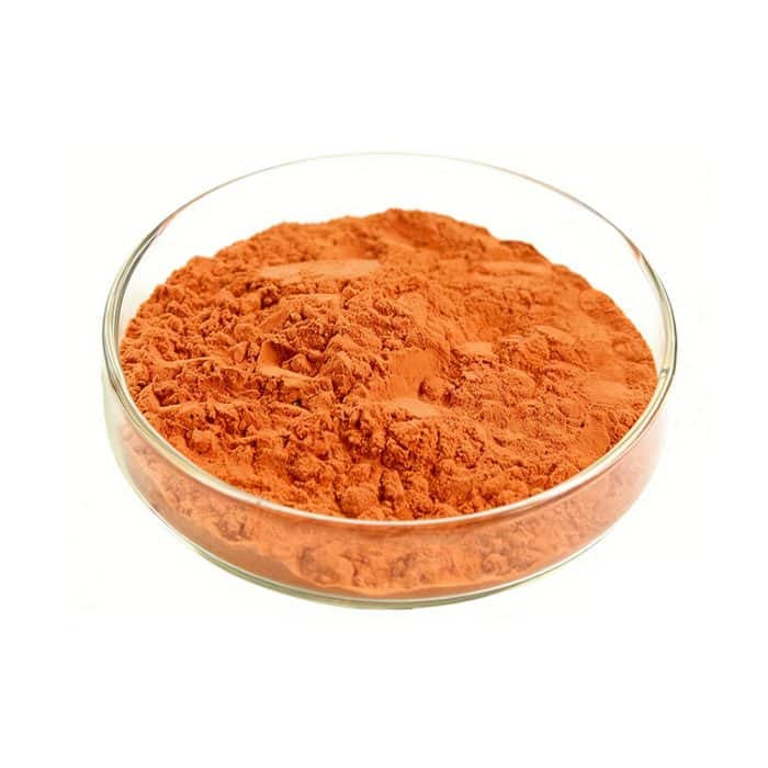 Bright orange-red Goji Berry Powder fine particle detail