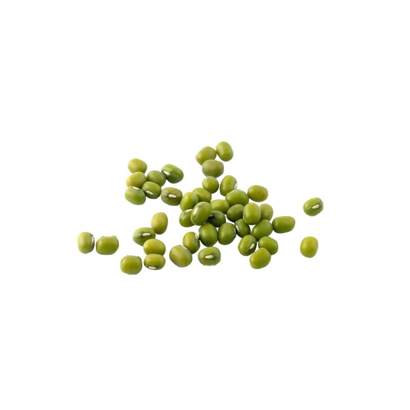 Ảnh cận cảnh hạt đậu xanh Vigna radiata