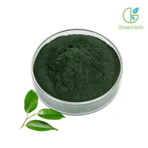 Chi tiết kết cấu cận cảnh của bột clorofyllin natri-đồng