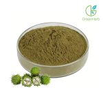 Tribulus Terrestris Powder close-up view