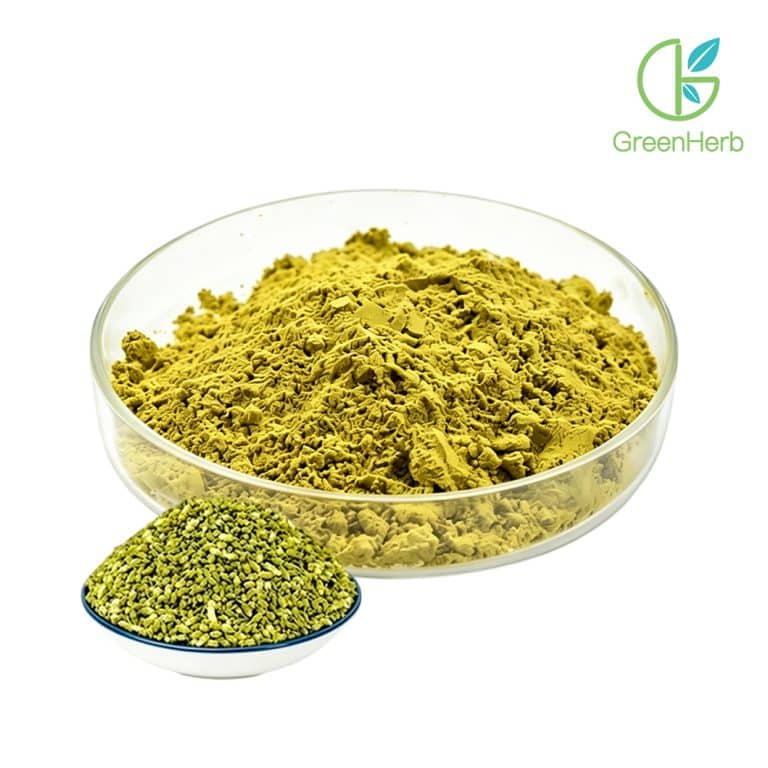 Bột quercetin