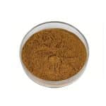 Light brown Siberian Ginseng Extract fine powder detail